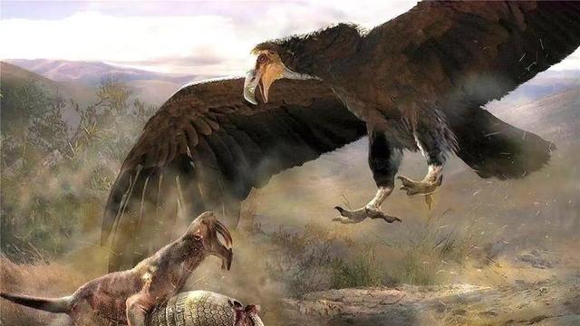 阿根廷巨鹰翼展长达7米，以捕猎狮子为食？这么厉害为何会灭绝