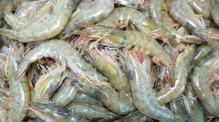 食材|买大虾时，小心买到“激素虾”，这4种尽量别买，为了健康要牢记
