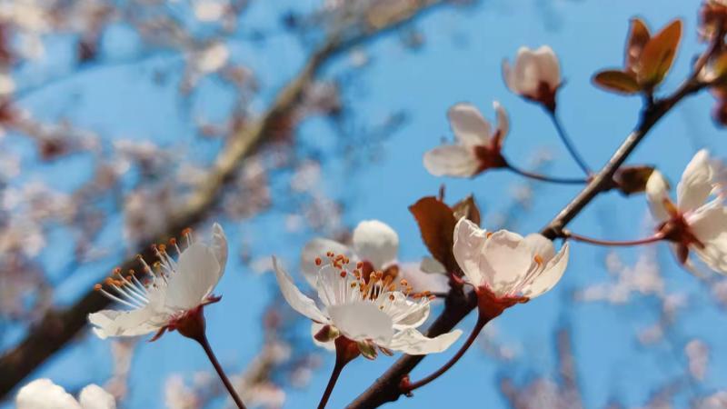 hr|领导接二连三提拔我的下属，意味着什么？