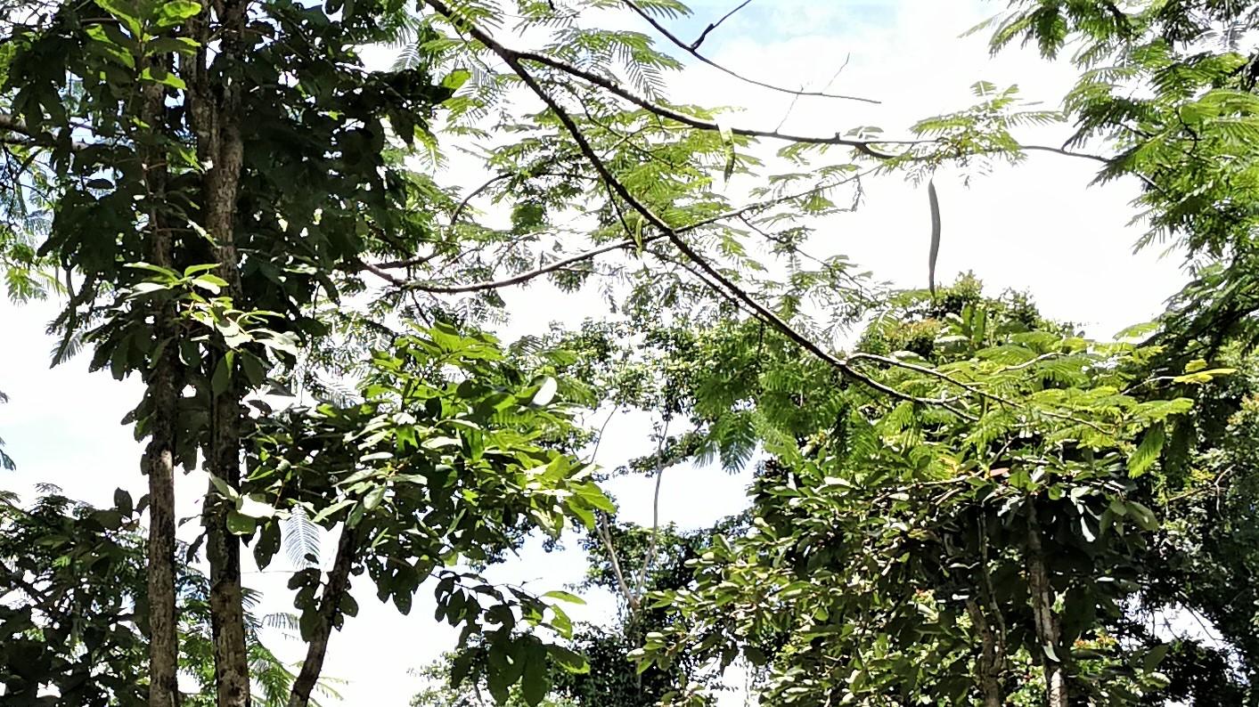 |与其被动，不如主动