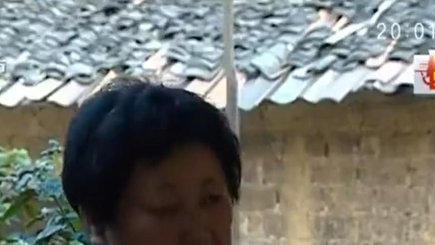 湖南夫妇收留陌生男子，5岁儿子因此被拐，27年后瞒着养父母回家
