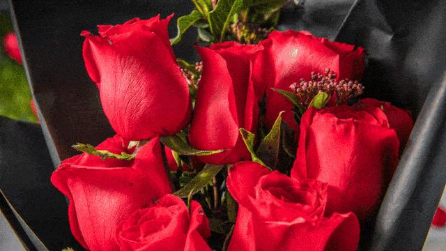 张柏芝|张柏芝晒出情人节照官宣恋情！向太发微博暗讽撒谎成瘾