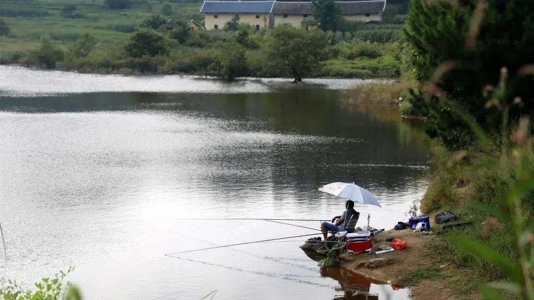 饵料|立夏过后野钓时，不宜选作钓位的5个地方，钓友必看！