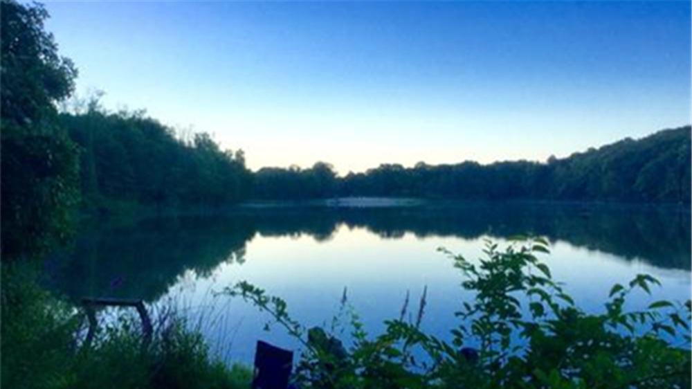 饵料|春季野钓，爆护的秘诀在于“钓早”，“吃透了”想不爆护都难