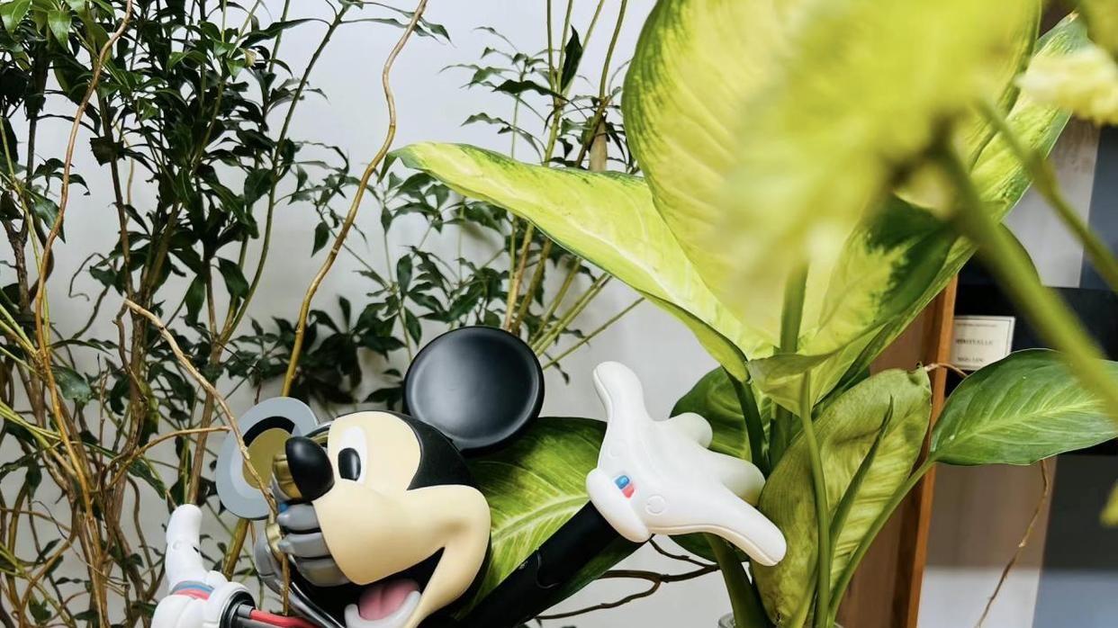 朱丹|41岁朱丹晒日常生活火了：在家遛娃做饭，日子过得悠闲自在，羡慕