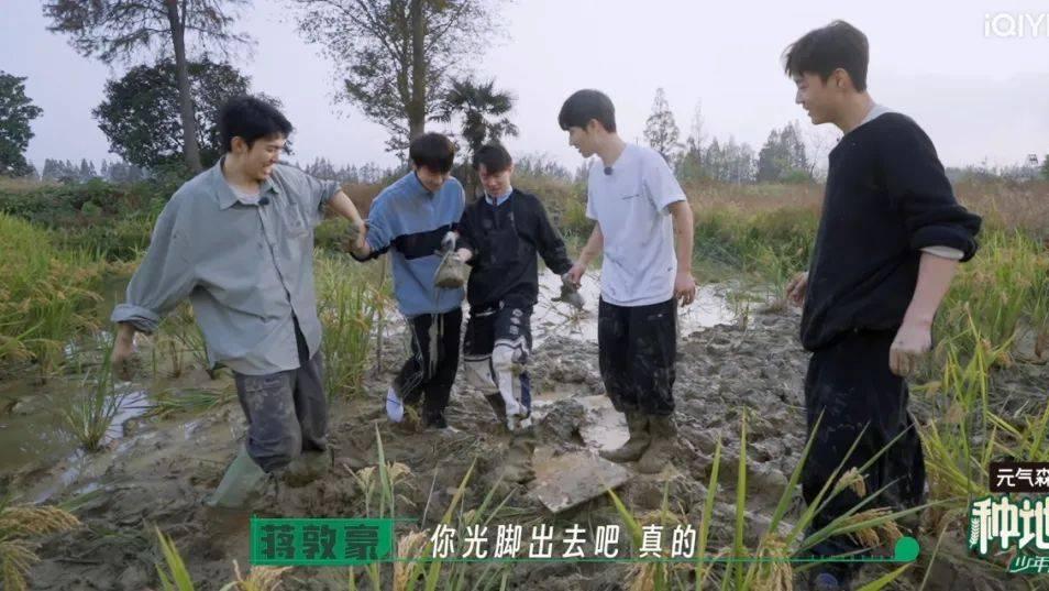 种地吧|爱奇艺《种地吧》：国综的一场想象力实验