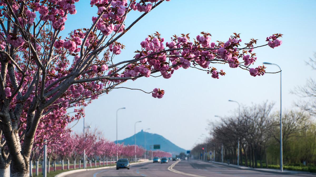 贵州|贵州交通厅第二批招聘开始报名，3类岗位不要报，考生重视