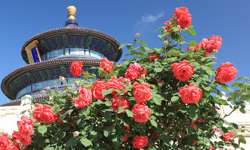 摩羯座|2月26号起，吉运进门，四方贵人庇佑，赚钱机会增多，幸福圆满的生肖