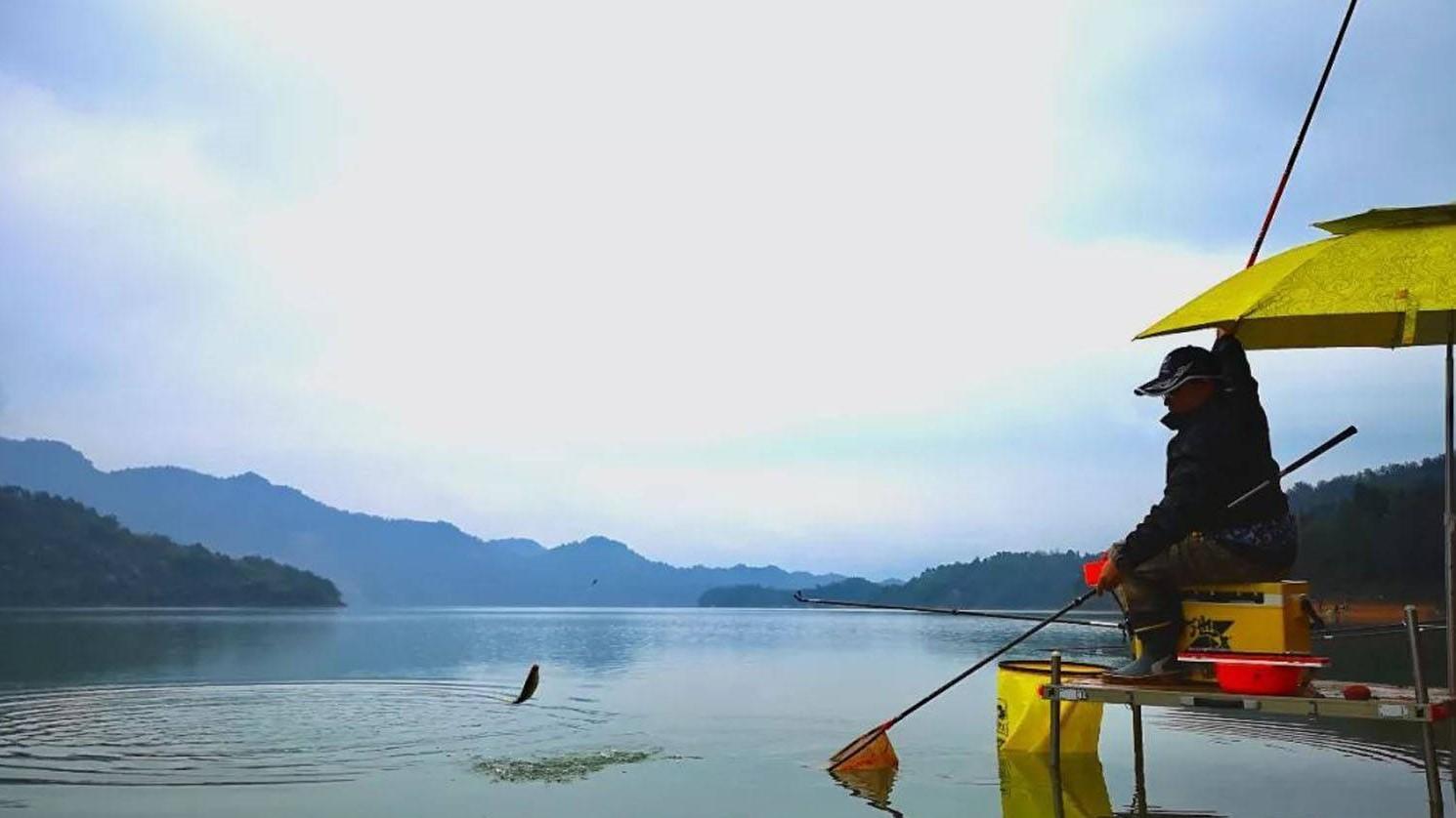 |钓鱼不会打窝如同喂鱼，老手分享打窝三打三不打，新手可借鉴