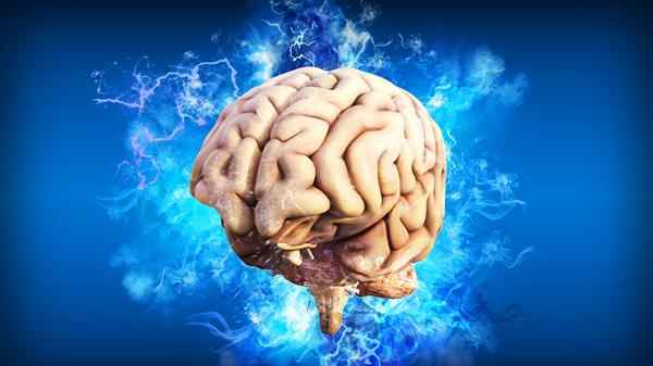 人的大脑是怎样思考问题的？