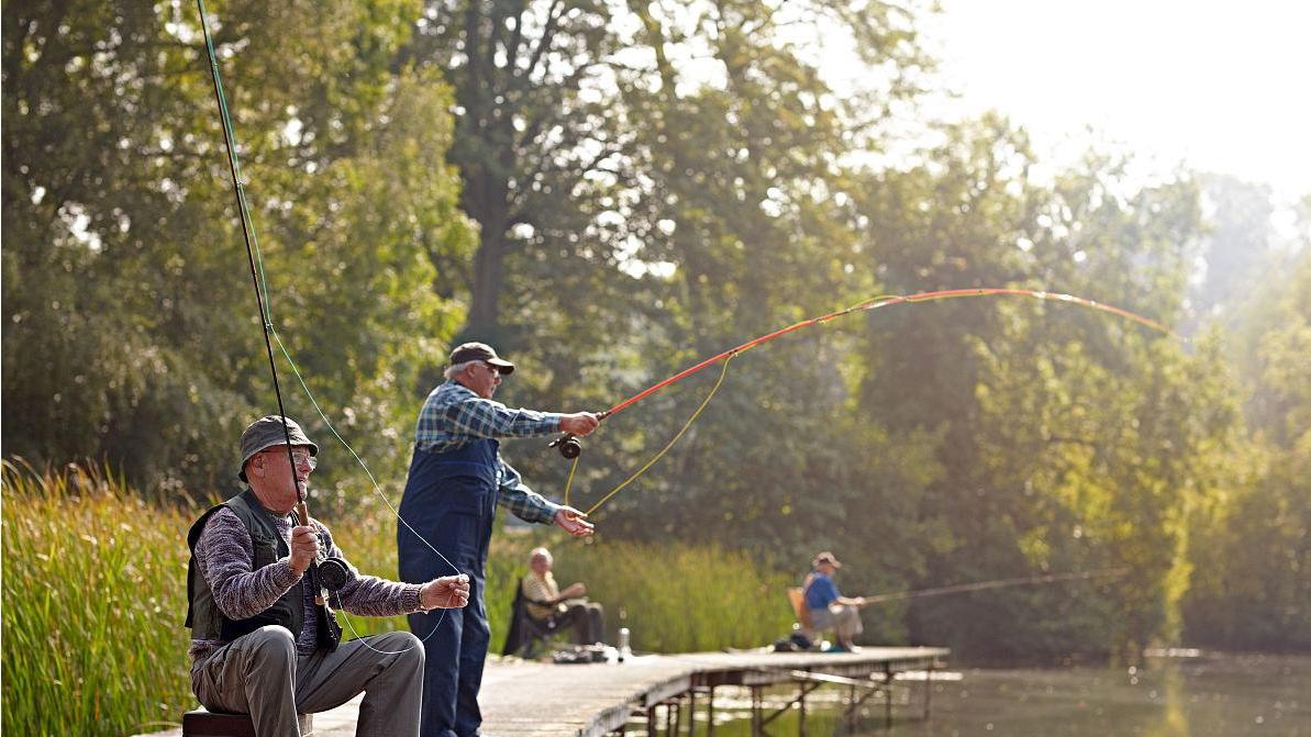 曾仕强：退休后沉迷于麻将，摆弄花花草草，这些都是不对的行为