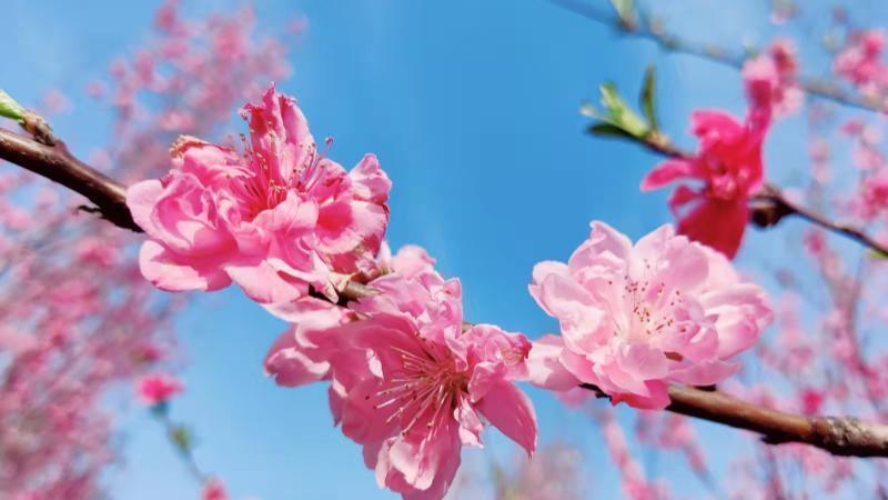 |酒局上，什么样的人是“明白人”？