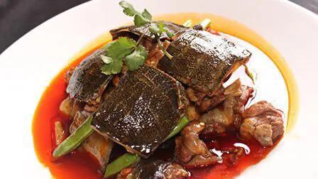 甲鱼|中国人钟爱美味的甲鱼，日本为什么也喜欢，你知道吗