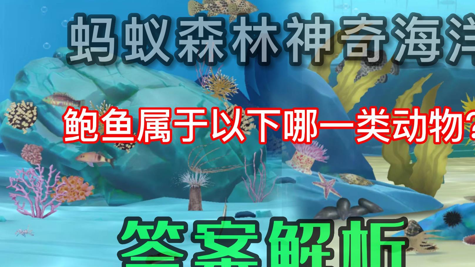 鲍鱼属于哪一类动物？蚂蚁森林神奇海洋