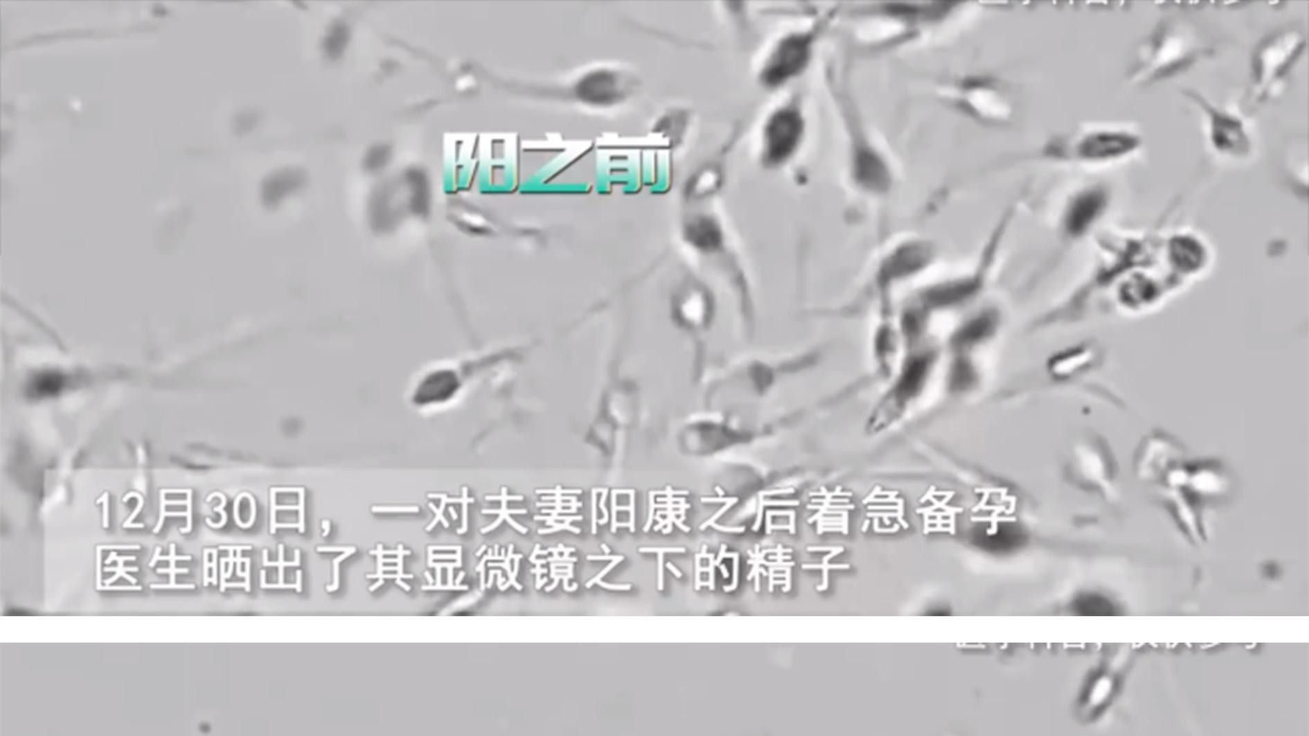 奥密克戎如何杀死你生殖细胞的？阳过以后，生殖细胞活动率仅剩2%