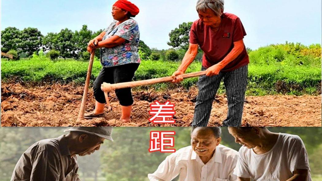 养老金|又有代表提养老！解锁农民市民“同价养老”，“职业金”将成关键