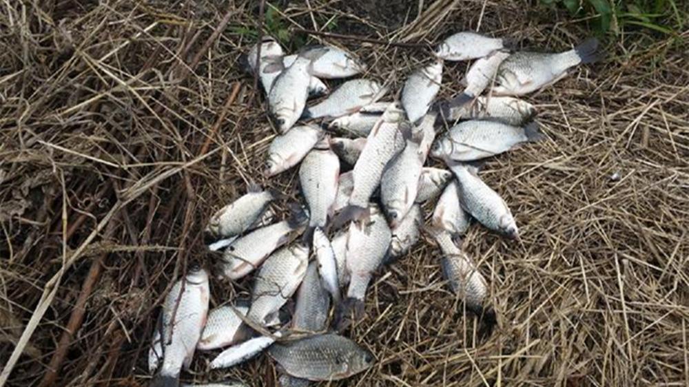 数九寒冬野钓，钓法一定要变通，这3种方法效果不错