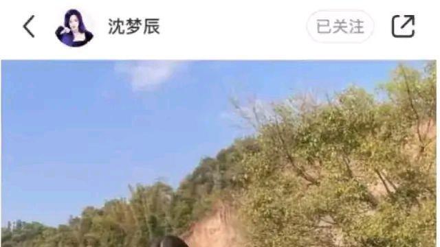 情满四合院|沈梦辰扎双麻花辫摘草莓，穿着打扮清新感十足，清纯甜美似少女