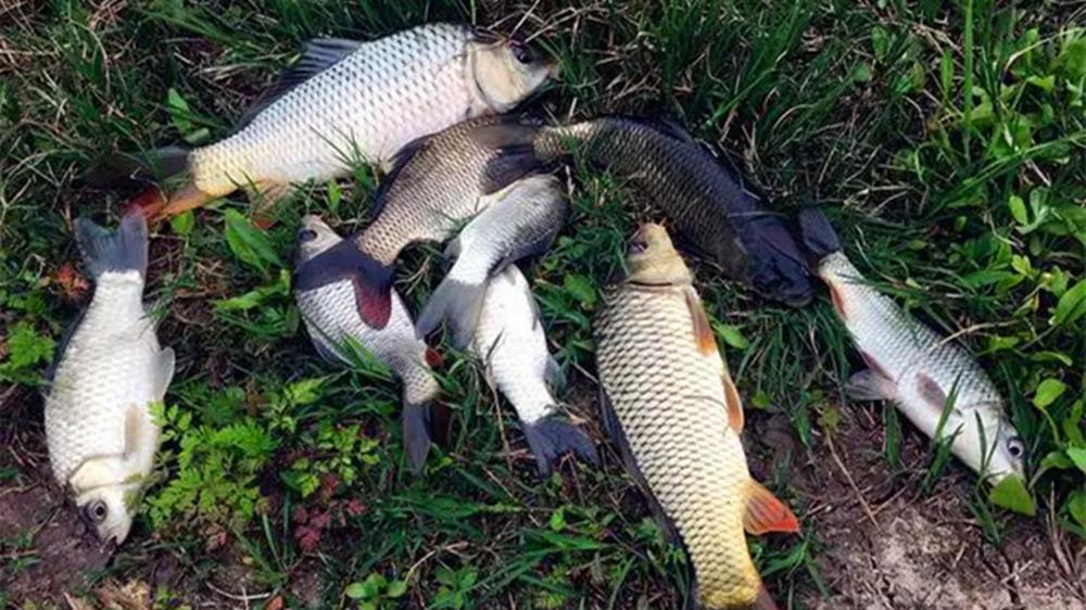 钓鱼技巧：3种特殊钓离底方法，适合各种野钓鱼情