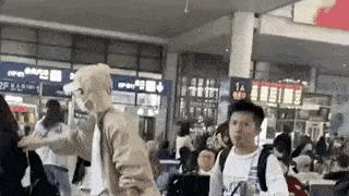 谢娜|张杰谢娜道歉起波澜，内娱的毒瘤被扒得“底裤”都不剩了