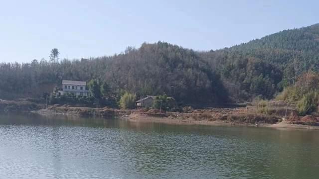 |早春野钓水库全攻略，个体大聚窝快，水底地形很重要