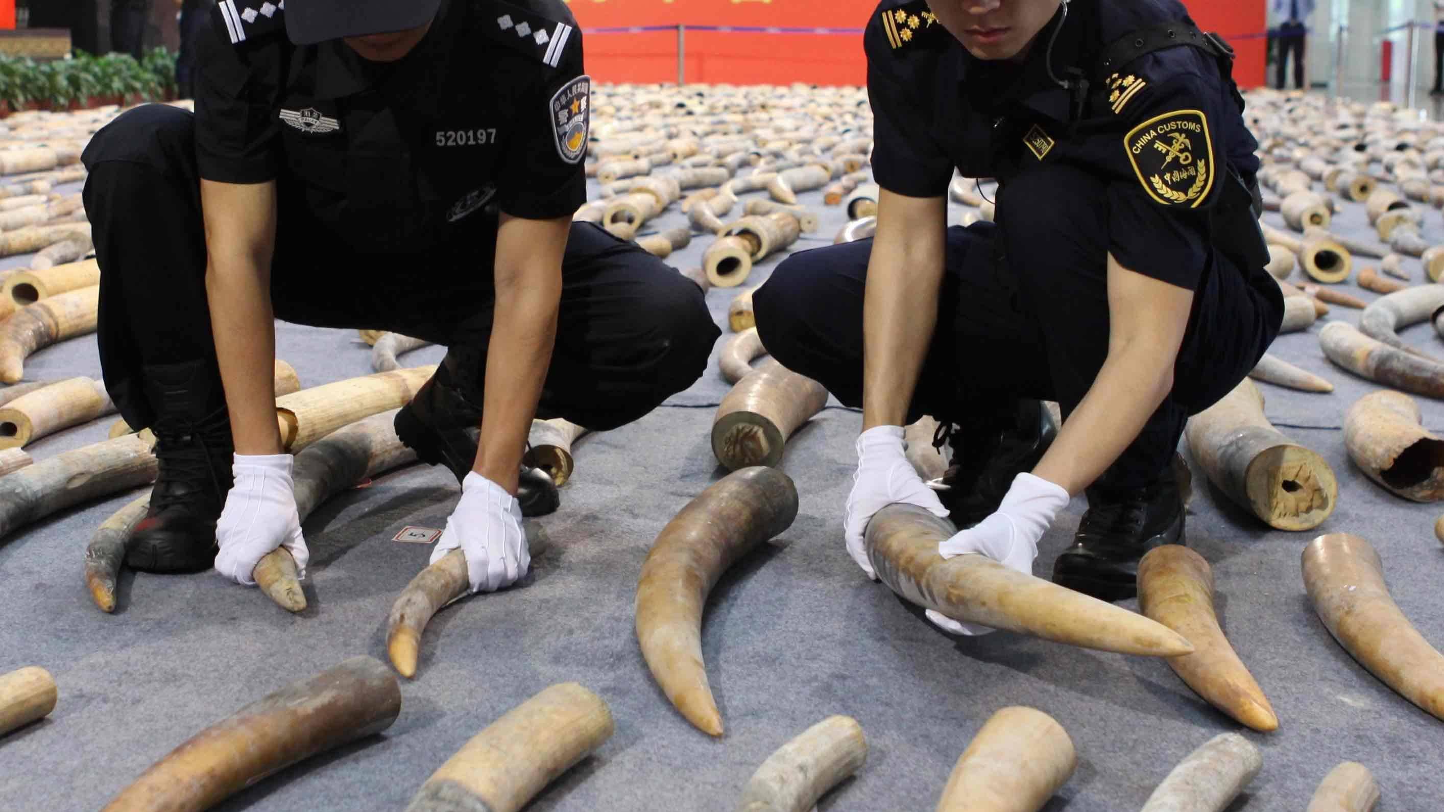 文玩|文玩圈里那些不能碰的红白黑