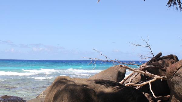 沙滩|塞舌尔，位于北纬四度，岛屿上的天堂