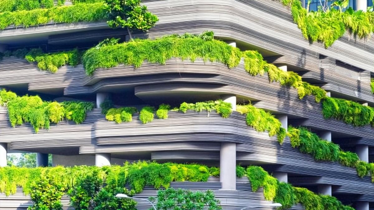 工作的意义与价值：奉献、品德塑造与社会贡献