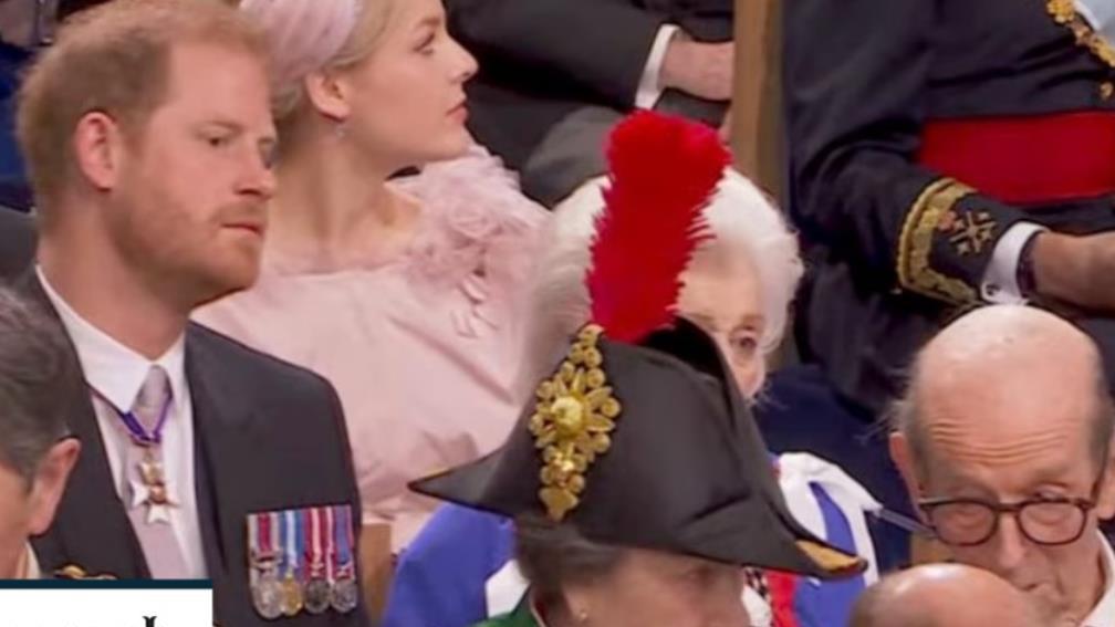 安妮公主|哈里遭家族集体抵制！观礼座位在第3排，全程被安妮公主帽子挡脸