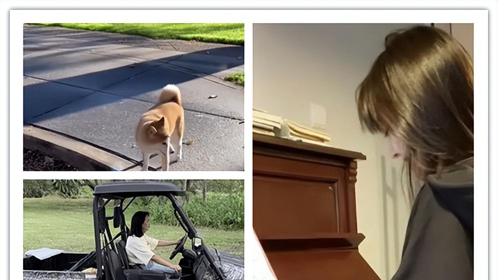 无底线作妖，被内娱封杀的“疯爽”，还是有办法赚粉丝的钱？