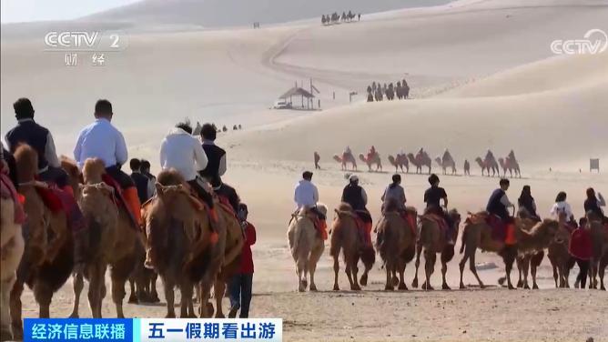 敦煌|甘肃敦煌的景区里“堵骆驼”了，还有专门为骆驼设计的红绿灯