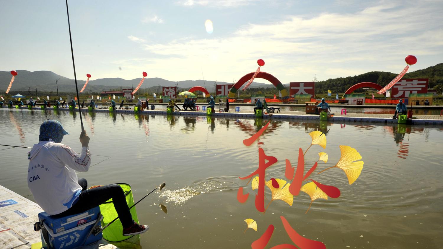 秋钓鲫鱼饵料中可添加5种物质，效果很给力