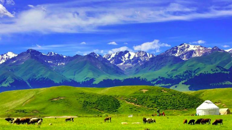 草原|内蒙古是我国“草原之首”，为何提到自驾，人们却更想去新疆、西藏？