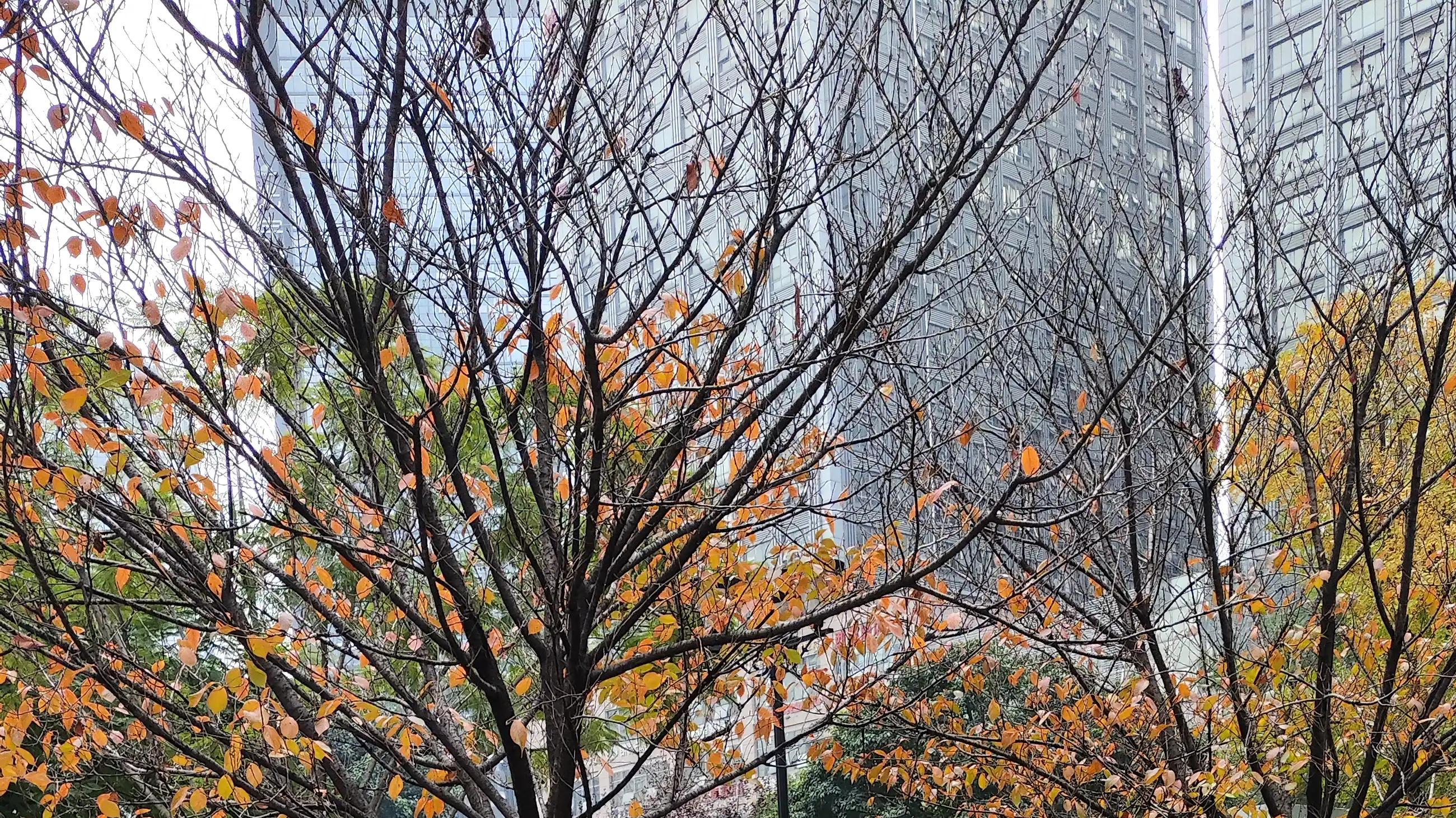 这个社会只有做不正经的人，才能赚到大钱