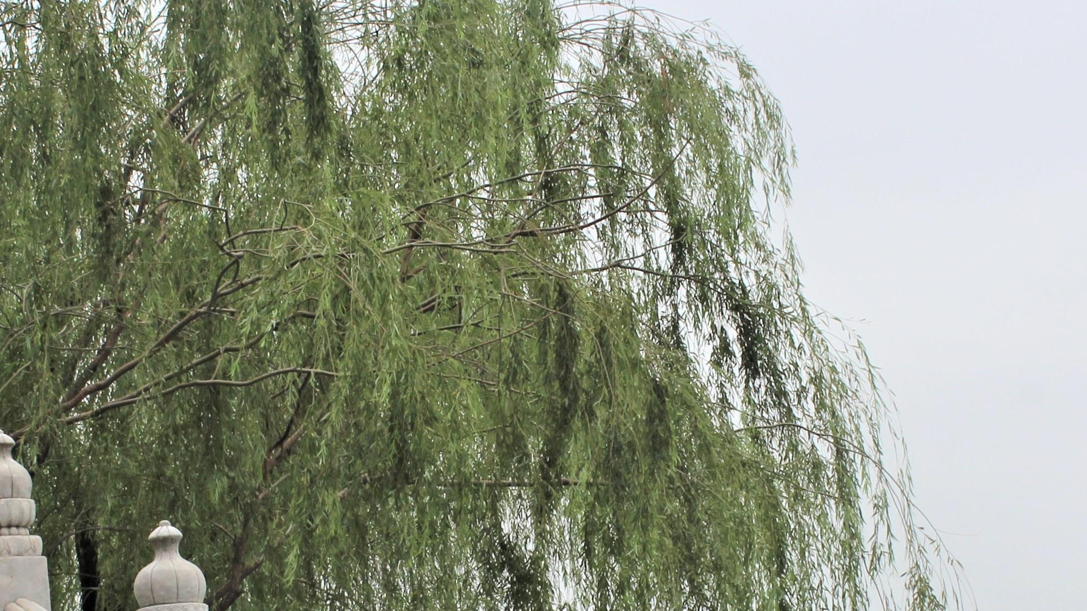 pua|拒绝职场PUA，也拒绝捧杀