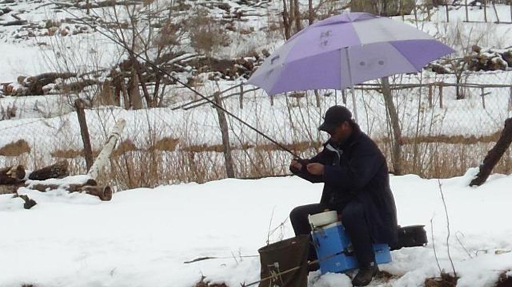 冬季野钓鲫鱼，5种天气鱼口最好，看准天气连竿上鱼