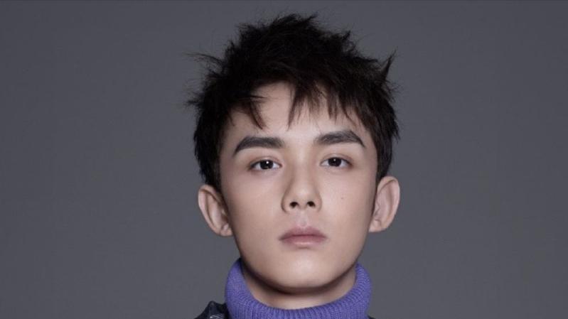 吴磊：海报被撤，直播被叫停，当红演员走到这一步，究竟是谁的错