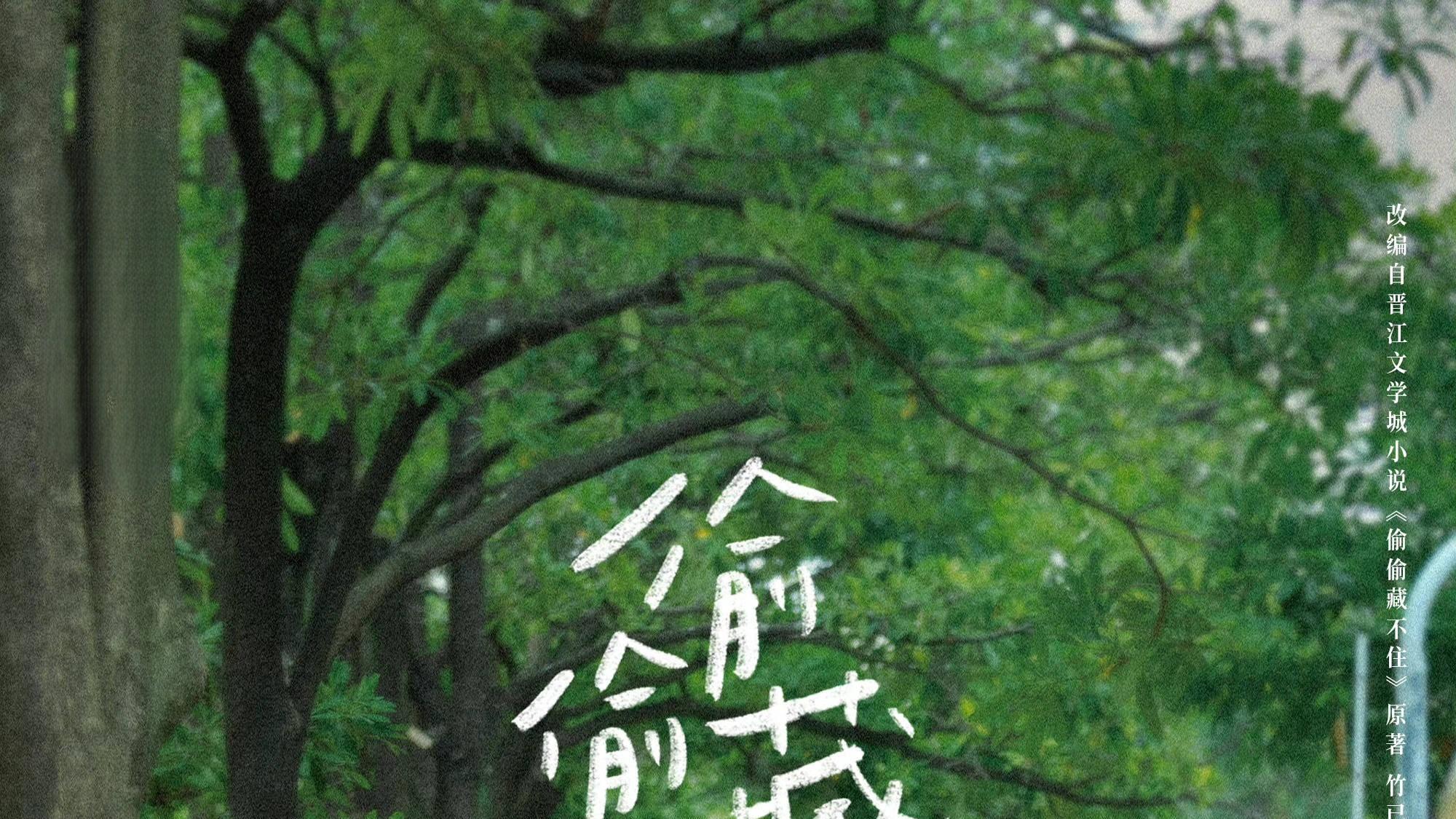 2023年国产剧海外市场播放量排行，《偷藏》第一，现偶和仙偶霸榜