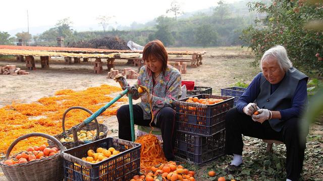 生育率|生育补贴能提升生育率吗？尊重女性的价值，保护儿童安全也很重要
