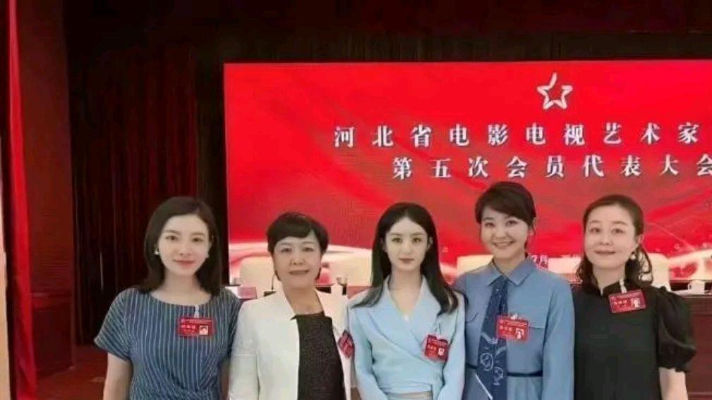 赵丽颖|当选河北省形式艺术家协会副主席，开会穿露脐装被诟病赵丽颖咋了