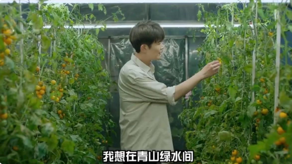 央一明晚开播，演员阵容雄厚，此剧一播出，娱乐剧都得退散