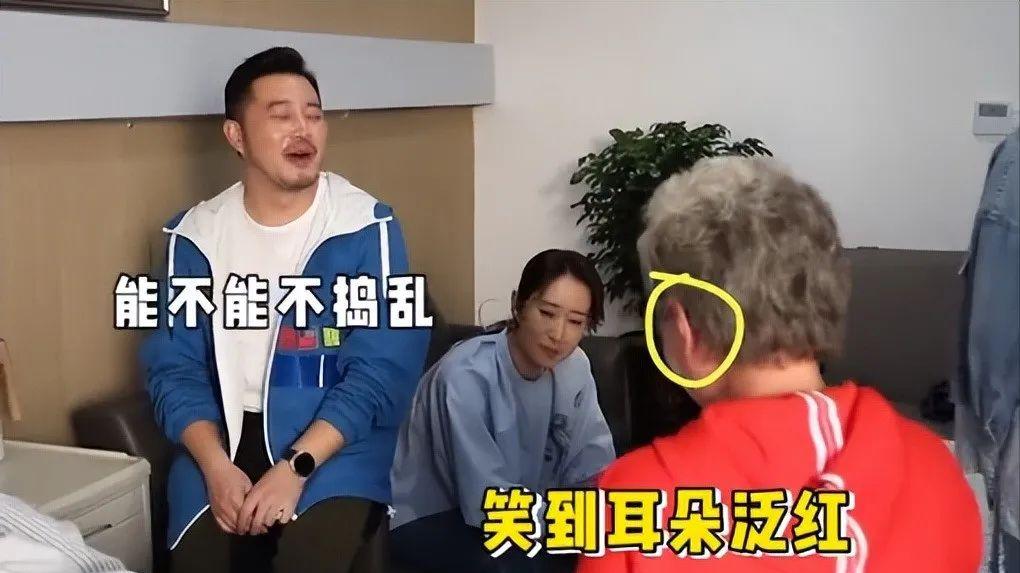 综艺节目|艺人参加综艺节目，为何沉迷赚快钱？6位明星被反噬原因揭秘