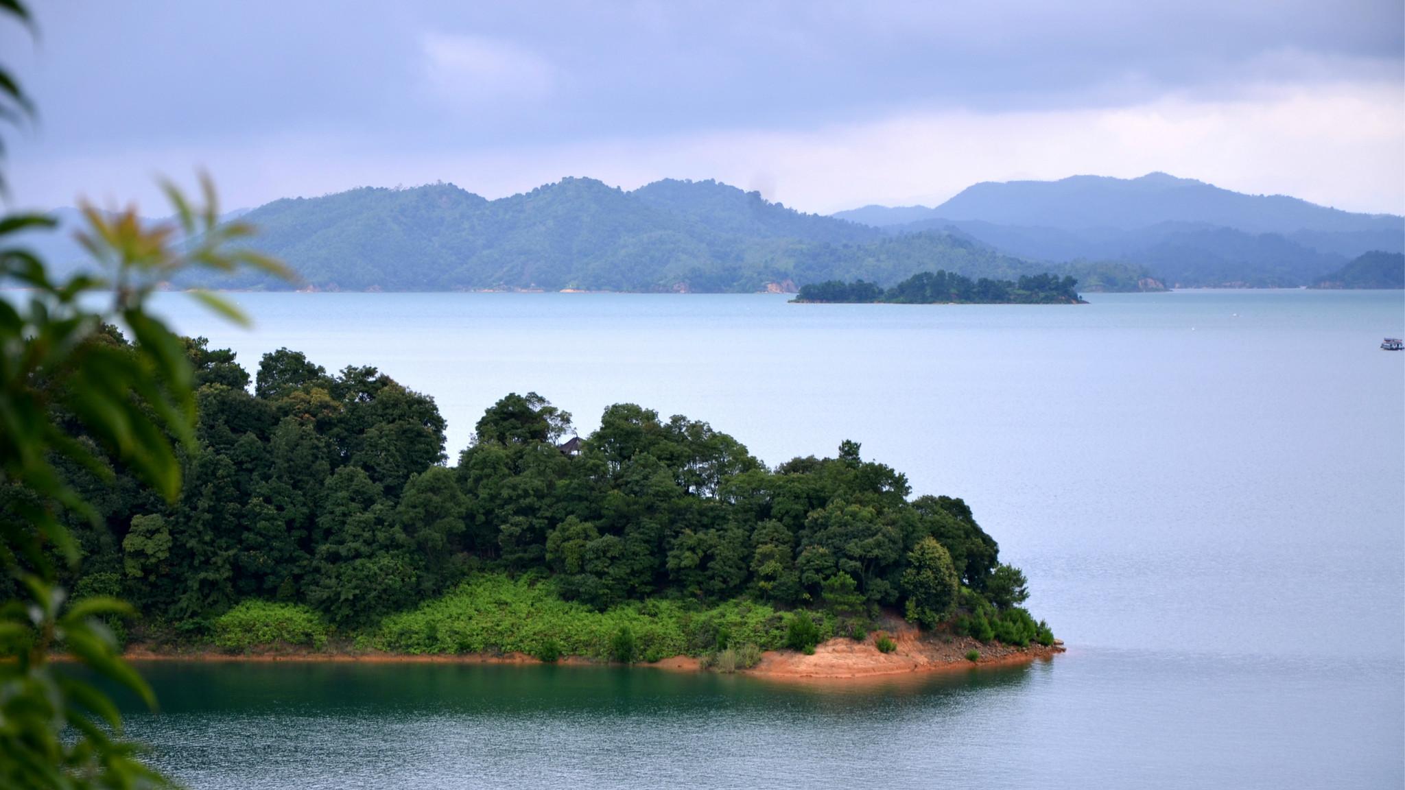 万绿湖|广东最大的湖泊，比50个杭州西湖还大，是日进斗金的“鱼米之乡”