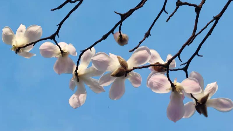 全力以赴|人到中年，你该明白的十大道理