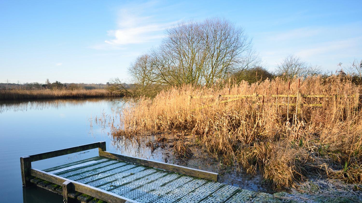 冬季钓鱼的5个铁律，野钓和黑坑都适用