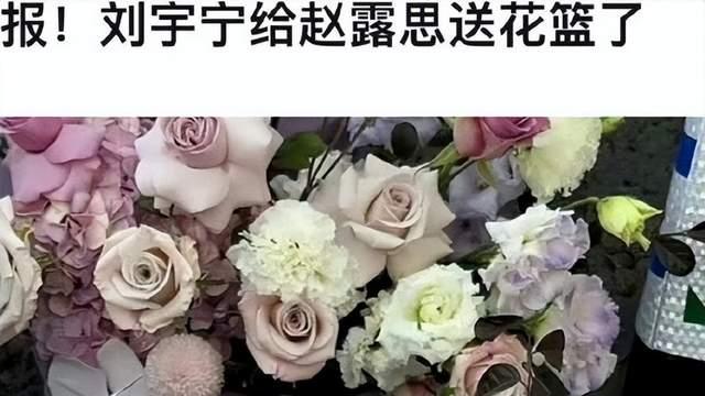 赵露思生日会翻跳泫雅舞蹈，刘宇宁为她庆生，将二搭合作珠帘玉幕