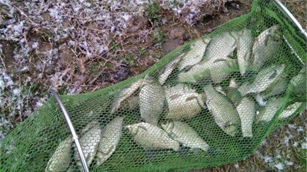 天气越冷鱼口越轻，2种高灵敏度钓法，最适合寒冬野钓