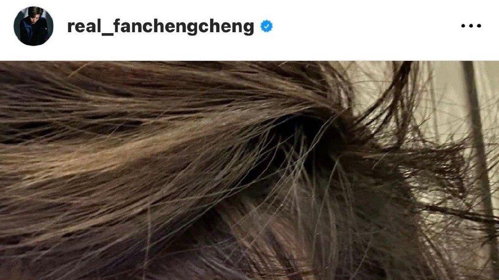 秦岚|大V实名举报贾玲给范丞丞生子！北京台台长说的，男方已回应