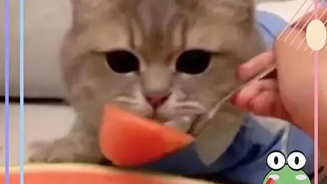 鞠婧祎|曝三字女星被资本操控，常被安排参加商务饭局，认金主当爸爸