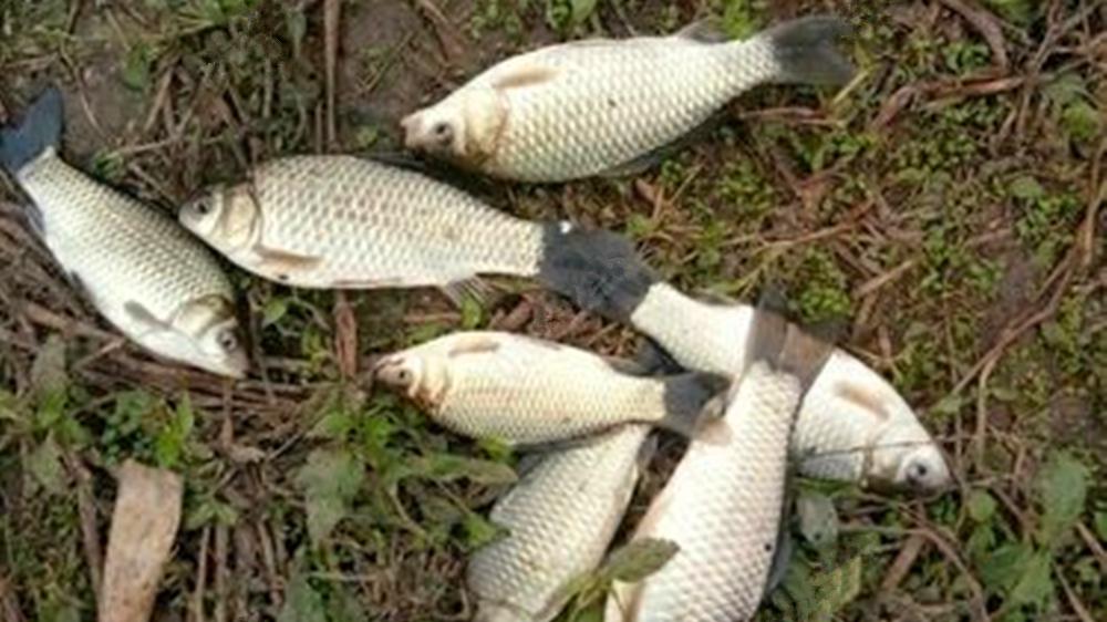 冬季野钓，挨冷受冻还钓不到鱼？赶紧把铅坠动一动